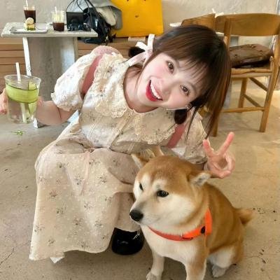 左轮百合