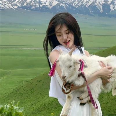 飞吧,冰上之光