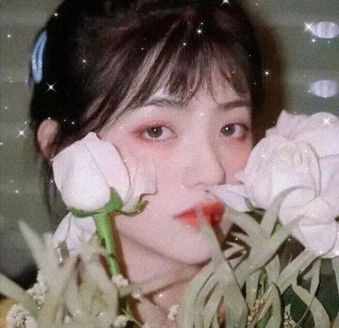 剧情片单