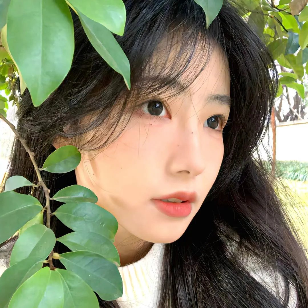 渺小而坚韧